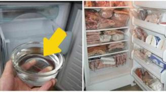 Đặt bát nước vào tủ lạnh qua đêm, cuối tháng nhìn hóa đơn tiền điện sẽ khiến bạn vui mừng