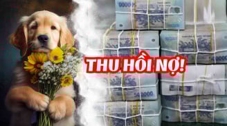 Đen đủi khổ sở đủ rồi: 3 tuổi bước chân vào Chĩnh Vàng, đón lộc giàu sang từ tuổi 45