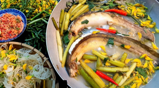 Loại cá ví như 'nhân sâm nước', mỗi năm chỉ có 1 mùa, thịt vừa bổ vừa ngon