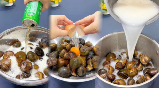 Thả thứ này vào chậu, ngao ốc nhả hết bùn bẩn, béo ngậy gấp 5 lần