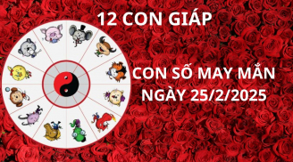 Tử vi ngày 25/2 con số may mắn bề trên ban lộc cho 12 con giáp gặp cơn mưa vàng tài lộc