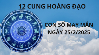 Tử vi ngày 25/2 con số may mắn cho 12 cung hoàng đạo cơ hội đổi đời giàu sang một bước lên tiên