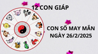 Tử vi ngày 26/2 con số may mắn Thánh Mẫu ban lộc cho 12 con giáp ùn ùn hốt vàng hốt bạc về nhà