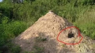 Tổ Tiên dặn dò: 'Mộ Tổ Tiên không có năm thứ, con cháu sẽ thịnh vượng'