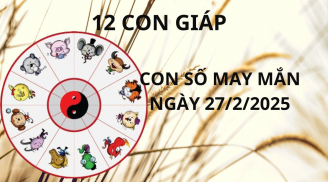 Tử vi ngày 27/2 con số may mắn Thần tài xổ lộc, con giáp may mắn 'trúng lớn' đổi đời giàu sang