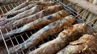 Loài đặc sản miền Tây kỳ lạ nhất hành tinh: Biết chạy nhảy, leo cây và khiến dân sành ăn mê mẩn