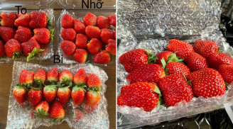 Mua dâu tây cứ nhìn vào điểm này, lựa đúng loại dâu Mộc Châu chín ngọt