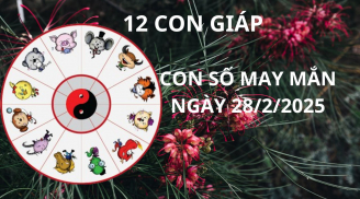 Tử vi ngày 28/2 con số may mắn cát tinh chiếu rọi, cung hoàng đạo nhanh chân nhận lộc vàng bạc ùa về