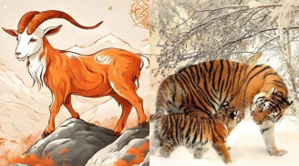 2 tháng liên tiếp (tháng 3-4): 3 con giáp đạt đỉnh Tình-Tiền-Tài, giàu có vạn người mơ