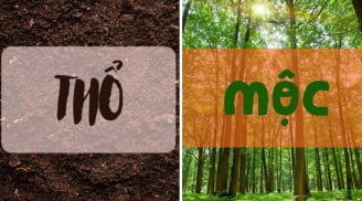 4 kiểu người này nhất định không nên trồng hoa nhài trong nhà