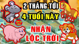 Qua đêm nay: 3 tuổi Cô Thương, Cậu Độ Tiền - Tài -Danh tăng phi mã, đến tiền mỏi tay trong 2 tháng tới