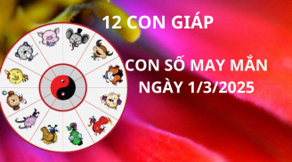 Tử vi ngày 1/3 con số may mắn Thần tài ban lộc đầu tháng cho 12 con giáp, gặp vận đổi đời giàu sang