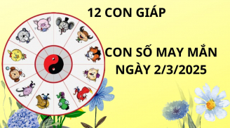 Tử vi ngày 2/3 con số may mắn cho 12 con giáp nhận lộc nhà trời gánh lộc nhà Thánh, tiền đè giàu sụ