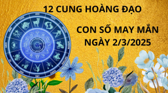 Tử vi ngày 2/3 con số may mắn vượng tài phát lộc, 12 cung hoàng đạo nhanh chân thì Tình-Tài-Danh cực đỏ