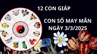 Tử vi ngày 3/3 con số may mắn mang cơn mưa vàng tài lộc cho 12 con giáp đổi đời tiền đè giàu sụ