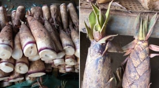 Mẹo phân biệt măng đắng và măng ngọt: Nhìn đúng điểm này là biết, không bao giờ mua nhầm