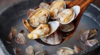 Ngao mua về ngậm đầy cát, thử 3 mẹo hay này là ngao nhả cát sạch sẽ