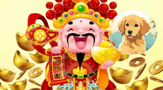 Thiên Phúc chấm sổ: 3 tuổi đi đằng Đông hứng vàng, đi đằng Tây hứng Bạc, muốn nghèo cũng khó