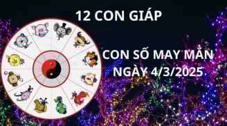Tử vi ngày 4/3 con số may mắn giúp 12 con giáp gặp đại vận giàu sang, đổi đời trong đêm, ngồi trên tiền