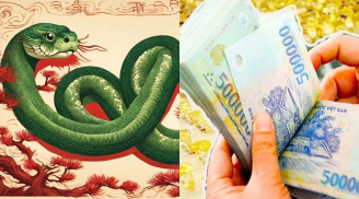 6 ngày (3/3-8/3): 3 con giáp liên tục hưởng lộc giàu sang, giẫm lên tiền thành ông hoàng thịnh vượng
