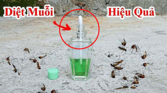 Cắm bông tăm vào lọ dầu gió: Công dụng tuyệt vời ngày nồm ẩm ai cũng thích