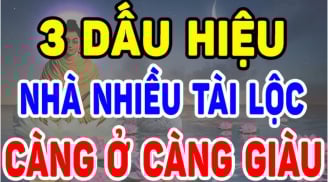 Trong nhà có 3 thứ này cãng cũ kỹ càng Hút Tài Lộc, đất chôn kho báu phong thủy: Càng ở càng giàu có