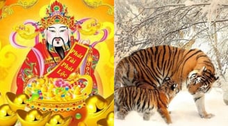2 tháng liên tiếp (tháng 4-5): 4 con giáp nhiều tiền hơn Thần Tài, sự nghiệp đạt đỉnh, no nê Tài-Lộc
