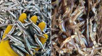 Loại cá giàu omega-3 bậc nhất, tốt không kém cá hồi, giá rẻ, dễ mua