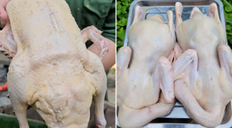 Nhổ lông vịt cứ thêm thứ này, vừa sạch lông măng, vừa khử mùi hôi