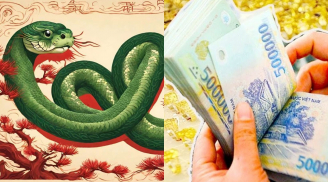 Từ 15/3 đến cuối năm 2025: 4 con giáp tiền đẻ ra tiền, số hút vàng hút bạc, tài sản gấp 10