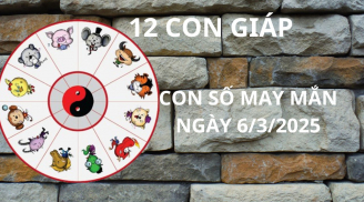 Tử vi ngày 6/3 con số may mắn cho 12 con giáp nhận vàng hứng bạc từ kho lương Thần tài
