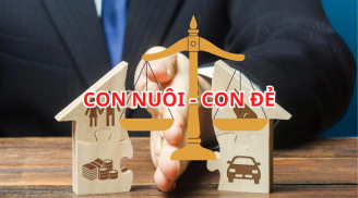 Con nuôi có được quyền thừa kế không? Cha mẹ không để di chúc, con nuôi có tranh thừa kế với con đẻ không?