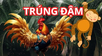 Đúng Thứ Bảy mùng 8/3: 3 tuổi may túi ba gang đựng vàng, Thần tài gọi tên, Tài-Danh rực rỡ tiền đè giàu sụ