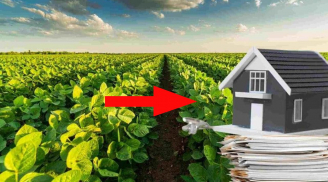 Năm 2025, chuyển đổi từ đất vườn sang đất ở hết bao nhiêu tiền?