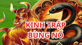 Từ nay tới 20/3: 3 tuổi gặp vận bùng nổ lộc lớn lộc nhỏ, giàu có hơn Thần tài, vàng trải khắp lối