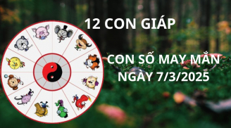 Tử vi ngày 7/3 con số may mắn Thần tài mở kho phát lộc, con giáp nhanh chân gặp thời hứng vàng hứng bạc