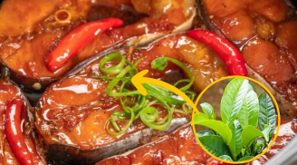 Thả thêm nắm lá này vào kho cá: Dù cá to hay cá nhỏ cũng thơm ngon, không bị tanh