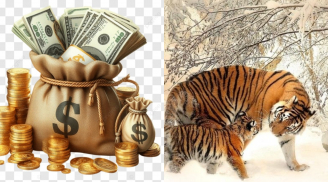 3 con giáp vét cạn may mắn: Trời sinh mang mệnh phú quý, giẫm lên tiền tận hưởng giàu sang