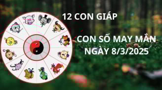 Tử vi ngày 8/3 con số may mắn số vàng tài lộc cho 12 con giáp gặp vận đổi đời giàu sang bất ngờ
