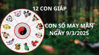 Tử vi ngày 9/3 con số may mắn số vàng mang tài lộc cho 12 con giáp, tiền đè giàu sụ