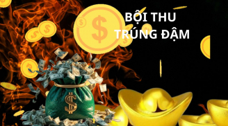3 năm liên tiếp (2025-2027), 3 tuổi gặp Đại vận Giàu sang bội thu tài lộc, Tiền-Tài-Danh cực đỏ, vàng bạc khắp lối