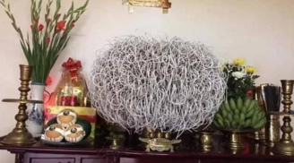 Bàn thờ xuất hiện 5 dấu hiệu này: Vợ chồng khắc khẩu, gia đạo không yên