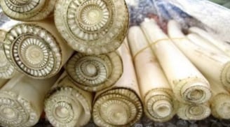 Loại rau ở chợ bán cho lợn ăn, sang Nhật lại được ví như 'cây trường thọ', bán giá đắt đỏ