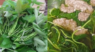 Món rau 10.000 đồng/mớ nhưng là 'thần dược' cho sức khỏe, nhiều người bất ngờ khi biết công dụng