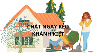 Người xưa nói trồng cây ác trước nhà, cây càng xanh người càng khó, bảo sao không giàu, kiểm tra ngay nhà bạn