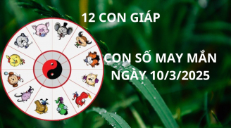 Tử vi ngày 10/3 con số may mắn Thần tài ban lộc, 12 con giáp nhanh chân gặp thời giàu sang bất ngờ