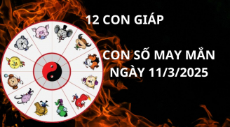 Tử vi ngày 11/3 con số may mắn cho 12 con giáp nhận vàng hốt bạc đổi đời giàu sang