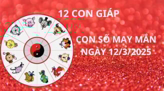 Tử vi ngày 12/3 con số may mắn Thần tài phát lộc, 12 con giáp nhanh chân nhận vàng hốt bạc giàu sụ