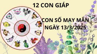 Tử vi ngày 13/3 con số may mắn trời xanh an bài, 12 con giáp nhanh chân nhặt vàng hứng bạc, giàu ú ụ