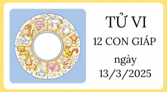 Tử vi ngày 13/3 của 12 con giáp: Tuổi Hợi đột phá trong sự nghiệp, tuổi Mão nhanh chóng vượt qua khó khăn